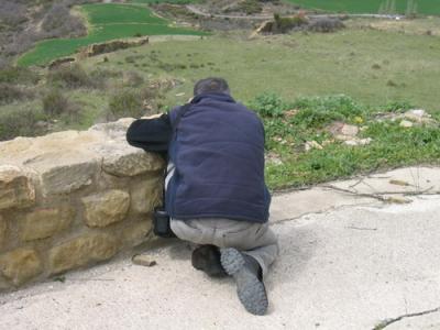 20080415001534-jts.jpg